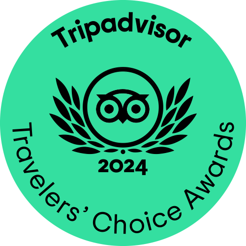 TC_green_winner-gif_L_2024-1